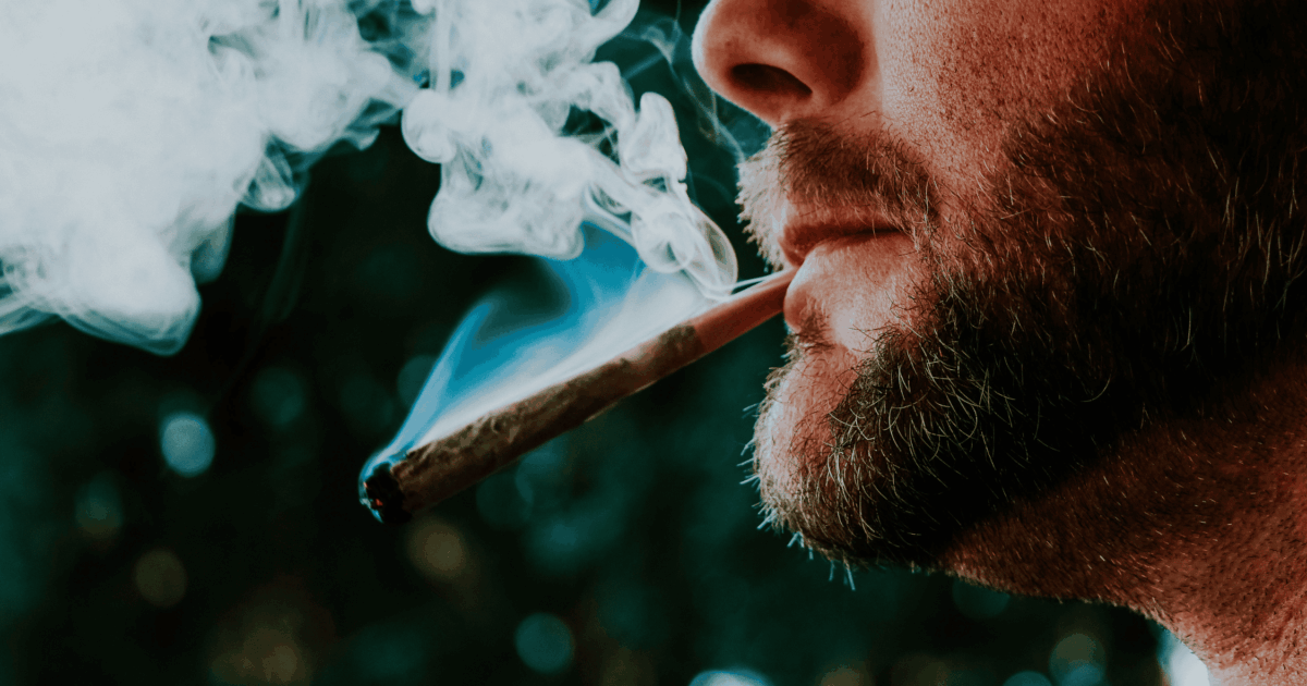 best chewing tobacco flavors Best Budget Dip Brands
