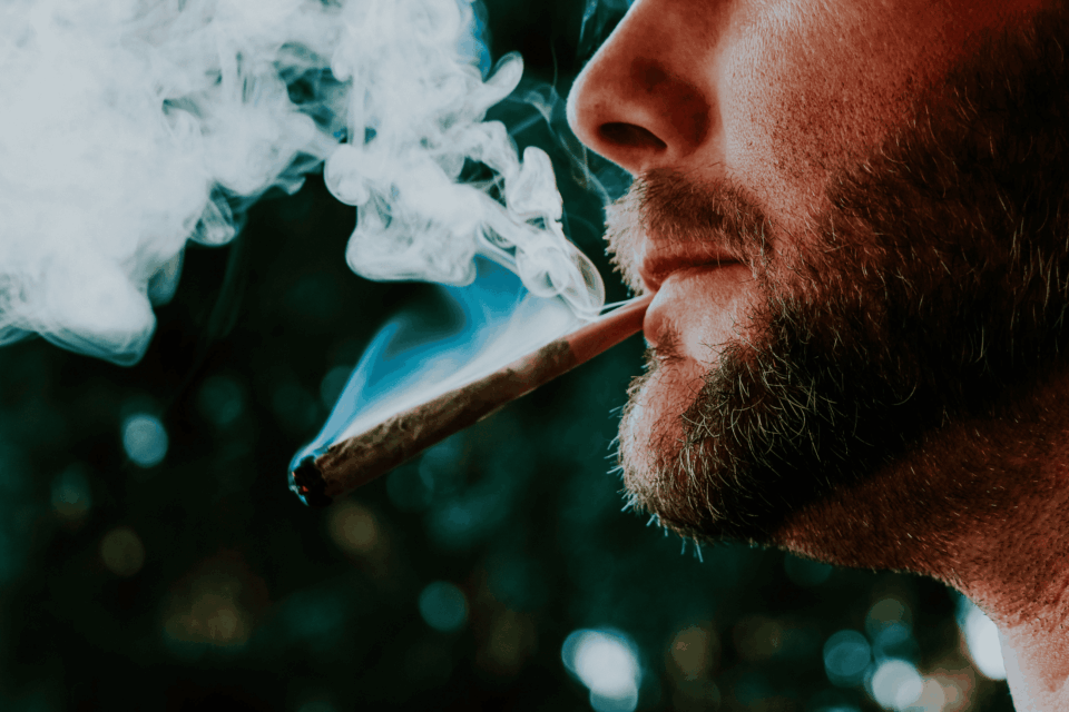 Slang for weed: common nicknames and street names for Marijuana